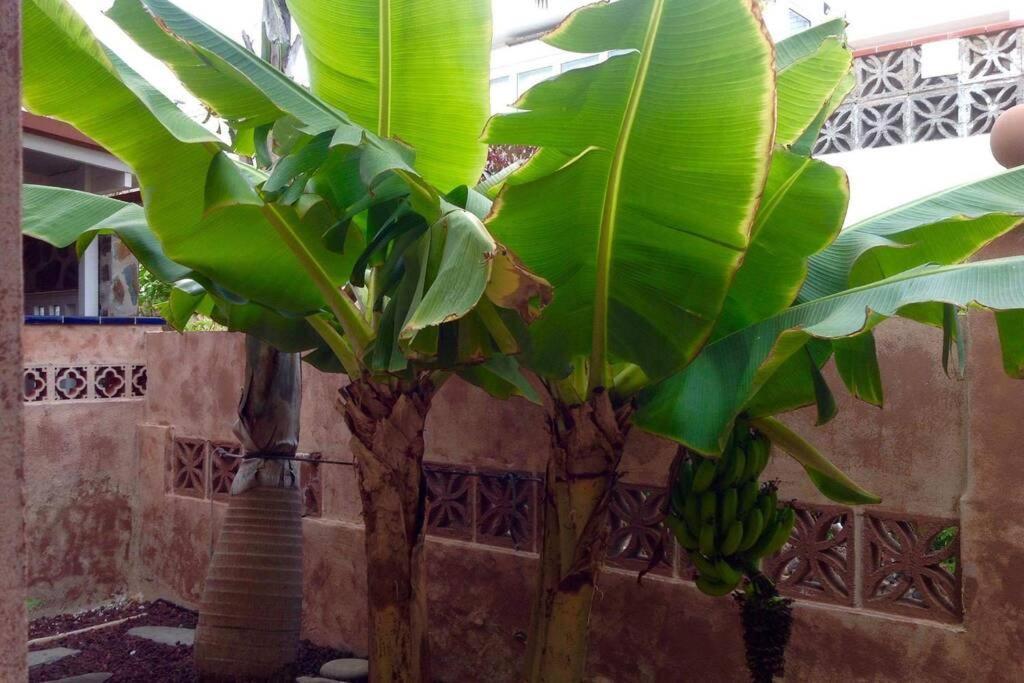Semi-Detached Villa Sea Views, Huge Terrace, Close Beach Palm-mar Ngoại thất bức ảnh